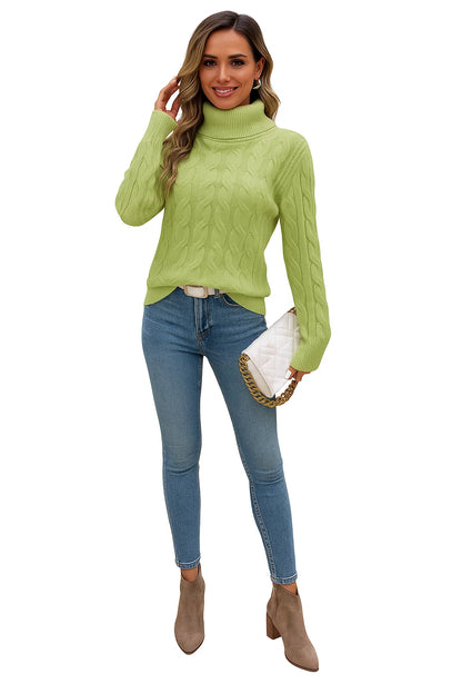 Pull Torsadé à Col Montant